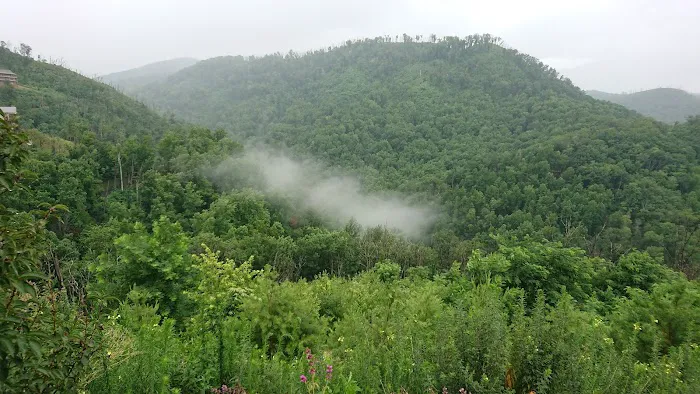 Skyline View Cabin 4
