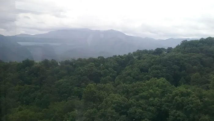 Skyline View Cabin 4