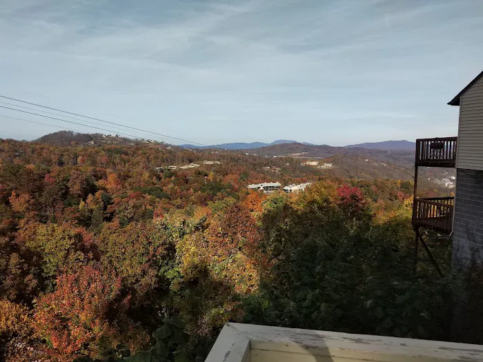 Skyline View Cabin 4