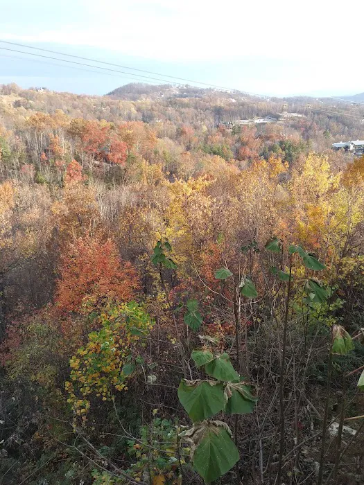 Skyline View Cabin 4