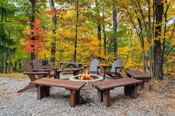 Homegrown Hideaways: Big Bear Cabin 4