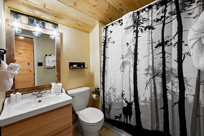 Homegrown Hideaways: Papa Bear Chalet 4