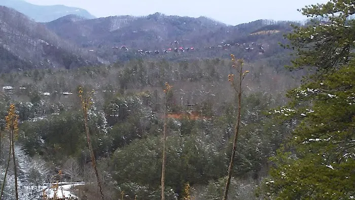 The Golden jewel pigeon forge 37863 4