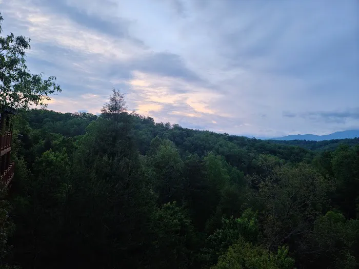 Leconte Bear Lodge 4