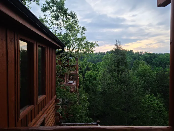 Leconte Bear Lodge 4