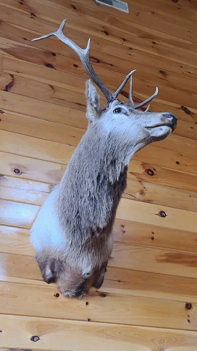 Leconte Bear Lodge 4