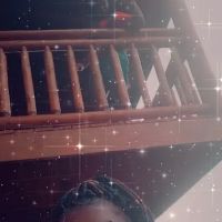 Leconte Bear Lodge ico