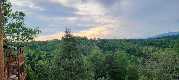 Leconte Bear Lodge 4