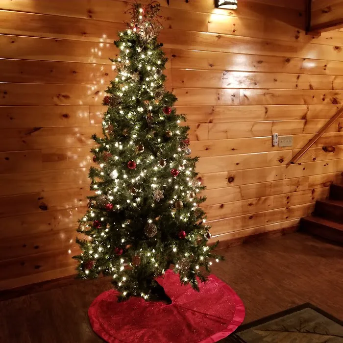 Leconte Bear Lodge 4
