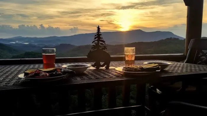Gatlinburg Cabins Online 4