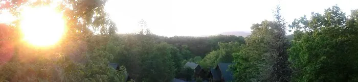 LoggedWood 4