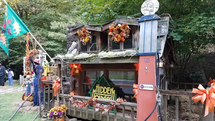Hidden Mt. Resort Cabin Blueberry Hill 3