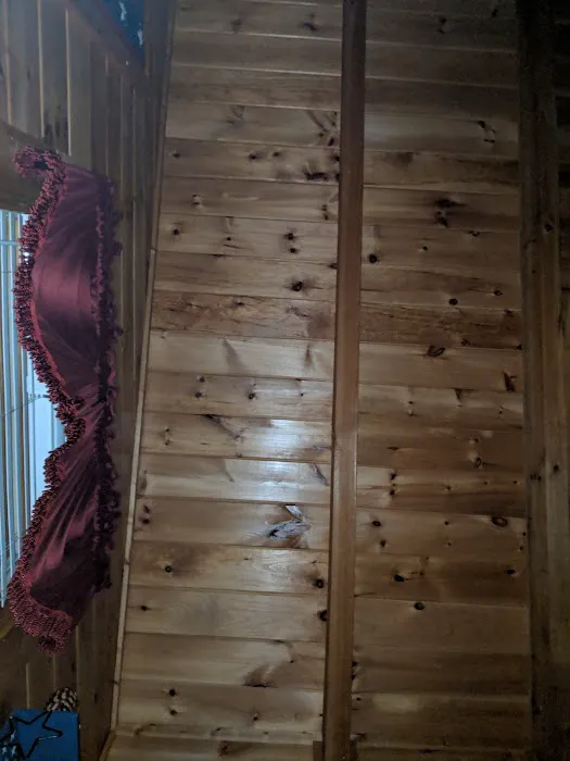 Freedom Rings Cabin 4