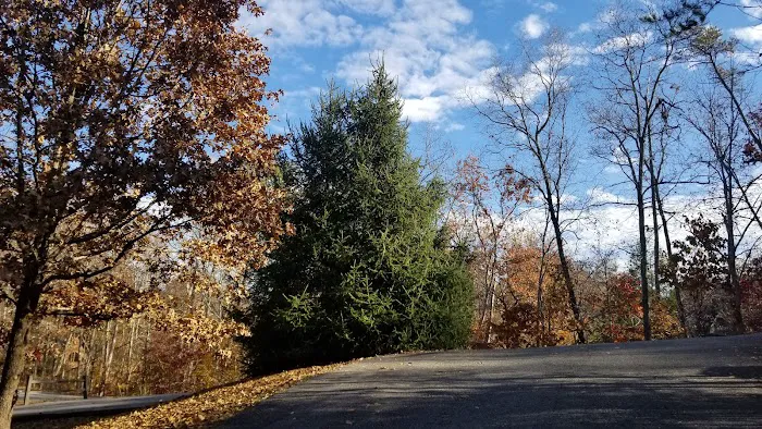 Woodridge Village 4