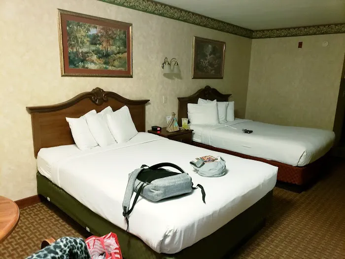 Park Tower Inn Pigeon Forge 4