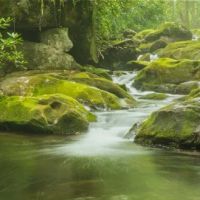 Smoky Mountain Resorts ico