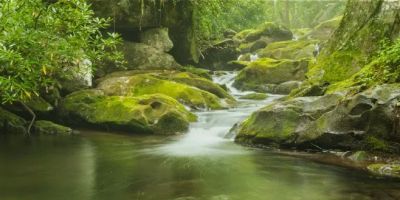 Smoky Mountain Resorts