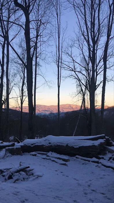 Six Fields - Mountain Wellness Lodge 4