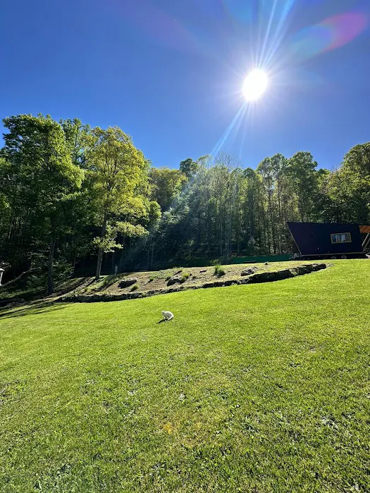 Six Fields - Mountain Wellness Lodge 4