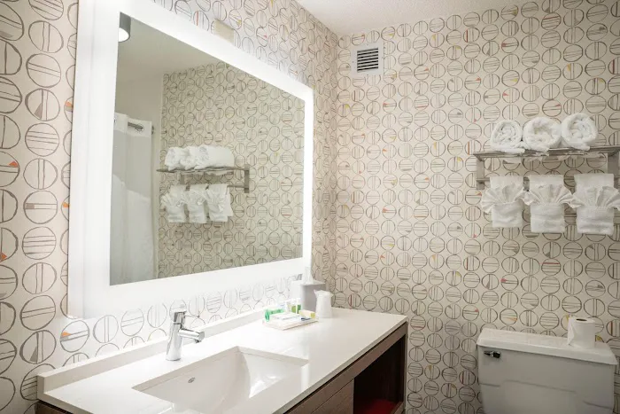 Holiday Inn Asheville - Biltmore West by IHG 4