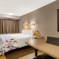 Red Roof Inn Asheville - Biltmore West ico