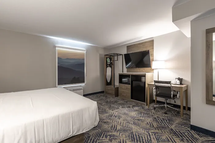 Rodeway Inn & Suites near Outlet Mall - Asheville 4