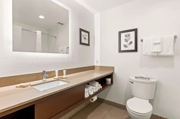 Country Inn & Suites by Radisson, Asheville - Outlet Mall 4