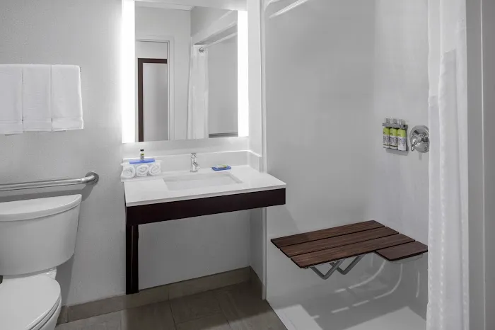 Holiday Inn Express & Suites Asheville SW - Outlet Ctr Area by IHG 4