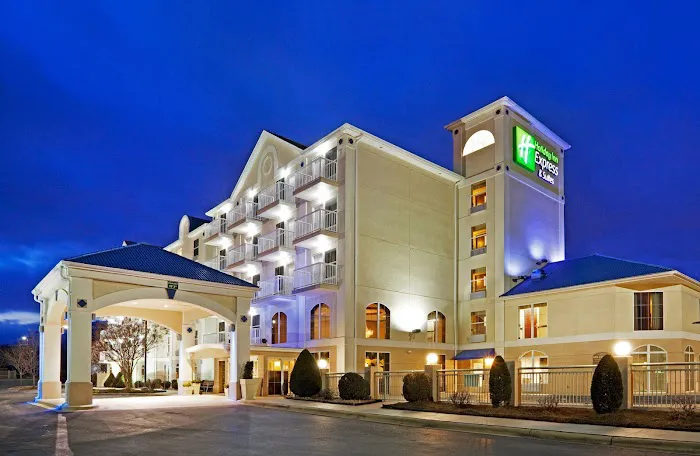 Holiday Inn Express & Suites Asheville SW - Outlet Ctr Area by IHG 4