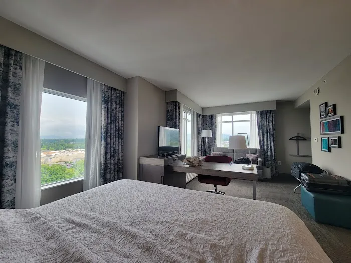 Hampton Inn & Suites Asheville Biltmore Area 4