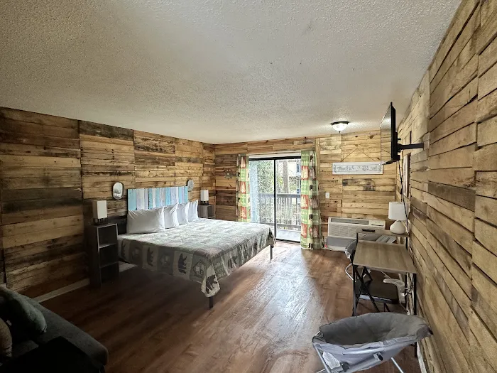 Ski Mountain Lodge 4