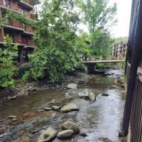 SureStay Plus by Best Western Gatlinburg ico