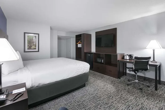 SureStay Plus by Best Western Gatlinburg 4