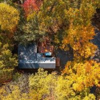 The Sugar Shack ico