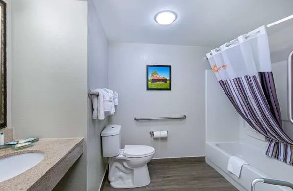 La Quinta Inn & Suites by Wyndham Pigeon Forge-Dollywood 4