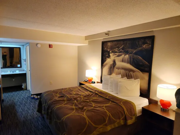 Super 8 by Wyndham Pigeon Forge Dollywood Lane 4