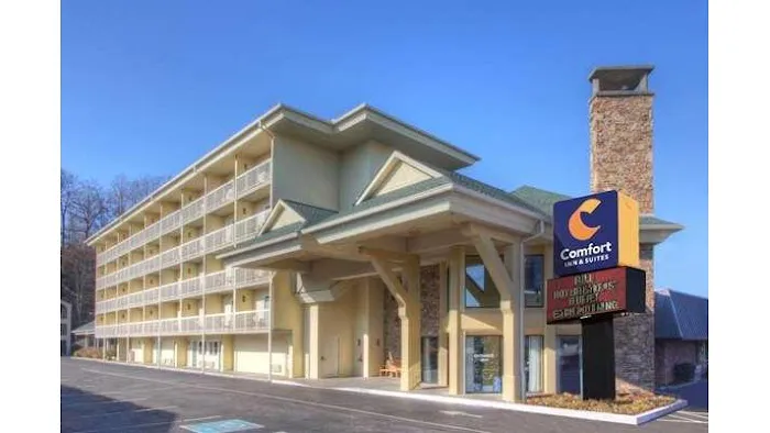 Comfort Inn & Suites at Dollywood Lane 4