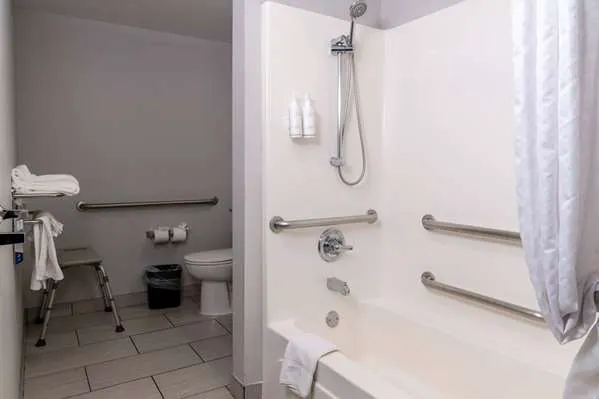 Microtel Inn & Suites by Wyndham Pigeon Forge 4