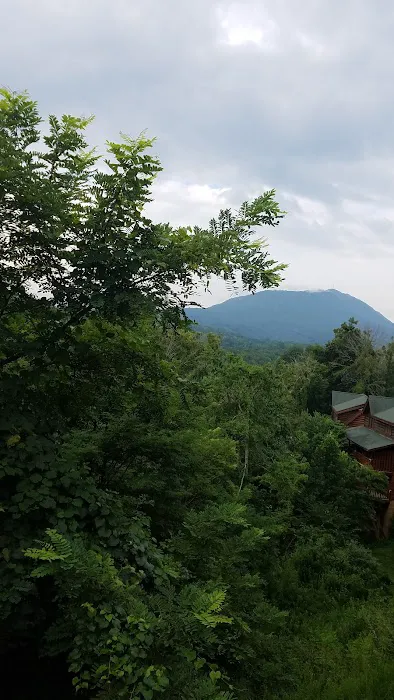 Zip-A-Dee-Doo 4