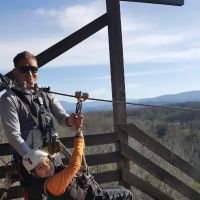 Zip-A-Dee-Doo ico