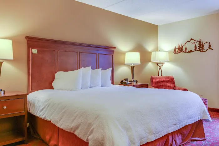Hampton Inn & Suites Pigeon Forge On The Parkway 4