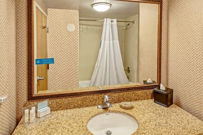 Hampton Inn & Suites Pigeon Forge On The Parkway 4