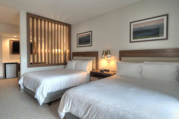 Holiday Inn & Suites Pigeon Forge Convention Center by IHG 4