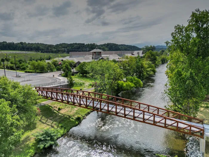 Holiday Inn & Suites Pigeon Forge Convention Center by IHG 4