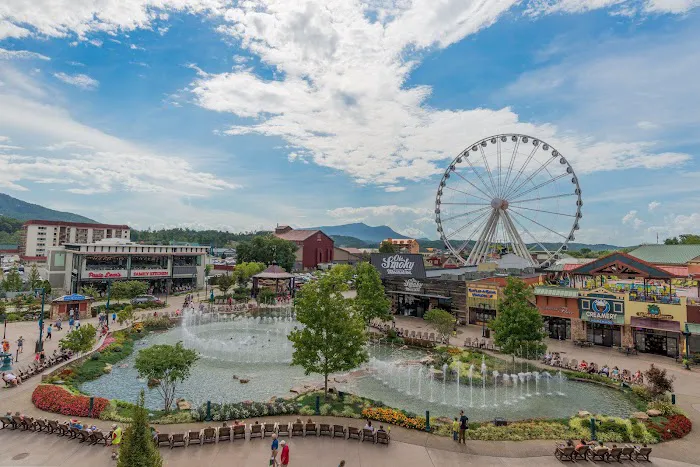 Holiday Inn & Suites Pigeon Forge Convention Center by IHG 4