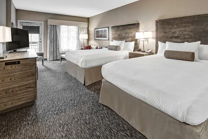 Black Fox Lodge Pigeon Forge, Tapestry Collection by Hilton 4