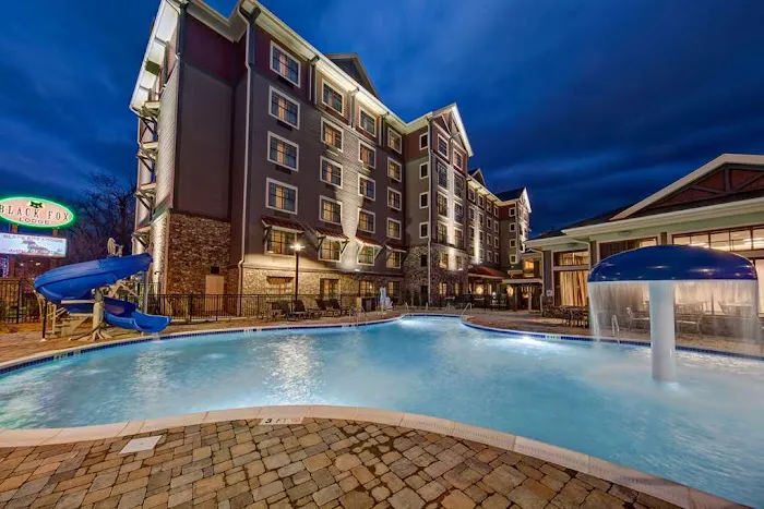 Black Fox Lodge Pigeon Forge, Tapestry Collection by Hilton 4