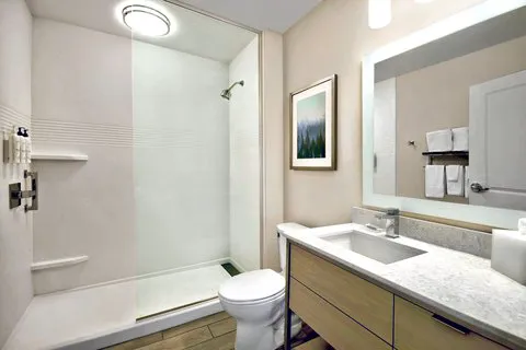 TownePlace Suites Asheville West 4