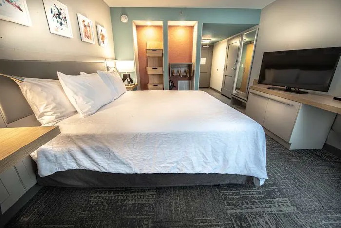 Hilton Garden Inn Asheville South 4
