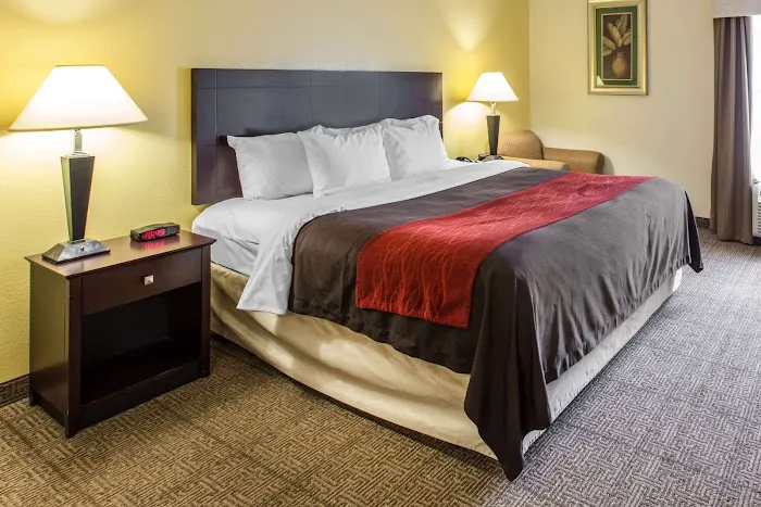 Comfort Inn & Suites 4